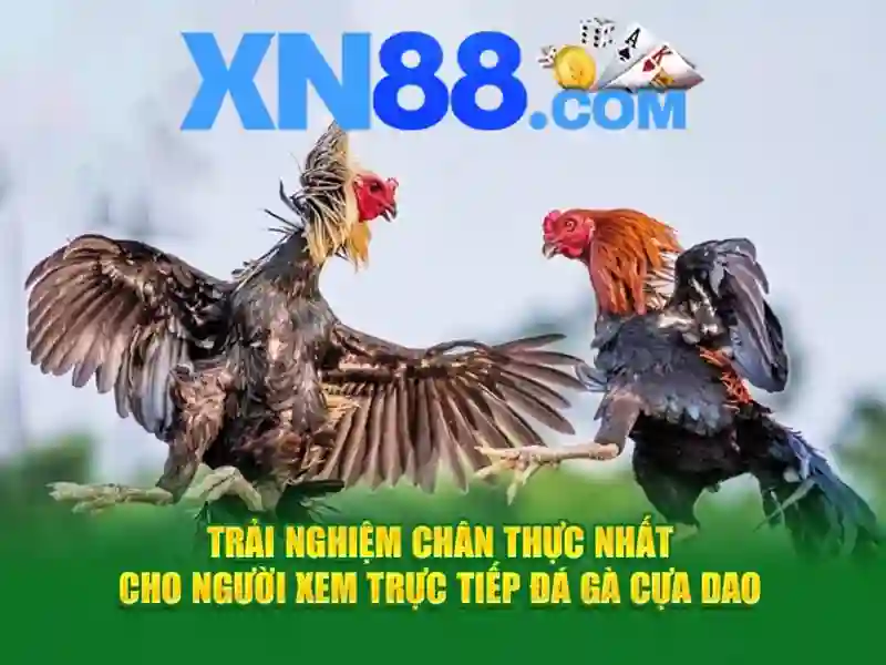 xn88 đăng nhập – Nguồn gốc và sứ mệnh của thương hiệu